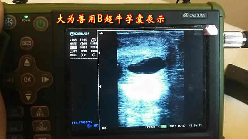 獸用b超,農(nóng)閑時節(jié)掙錢