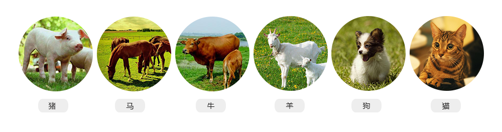 S7推車式獸用彩超機適用對象